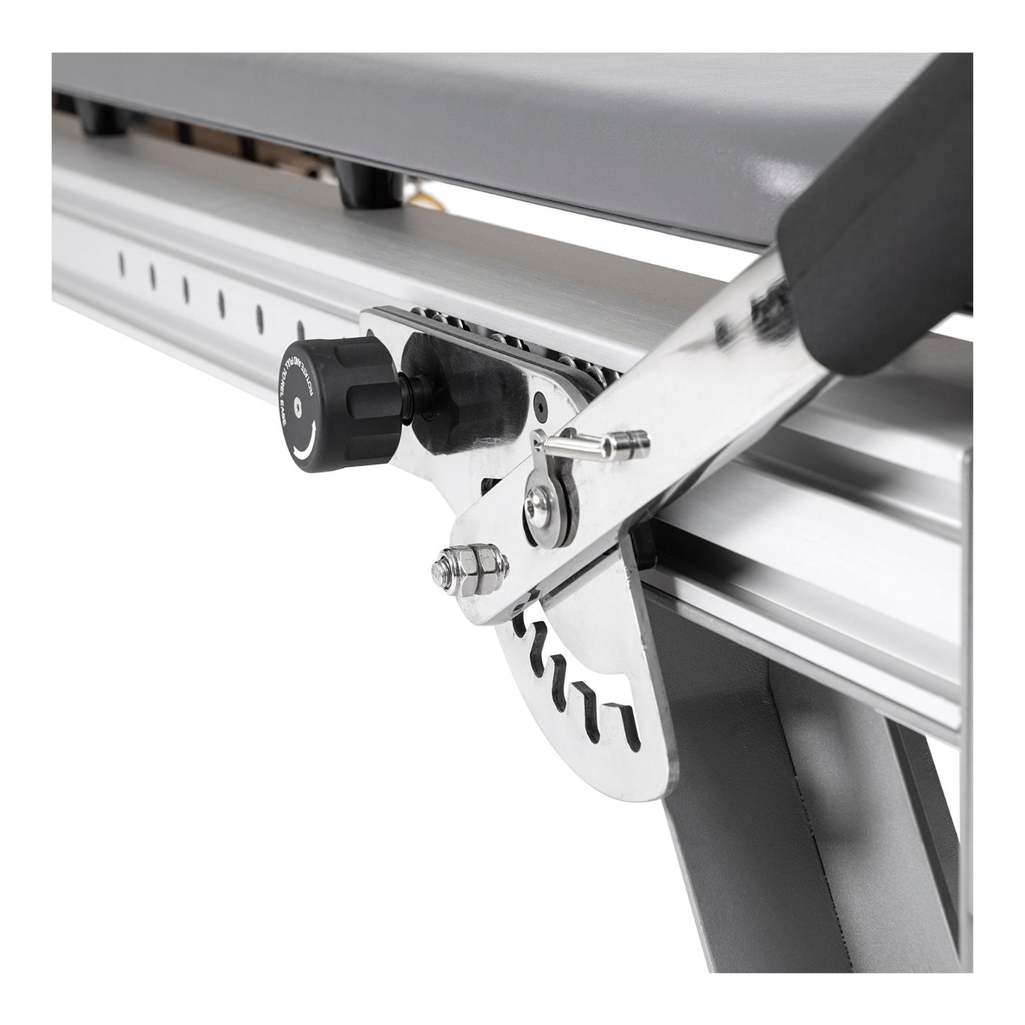 Elina Pilates Aluminum Reformer Mentor