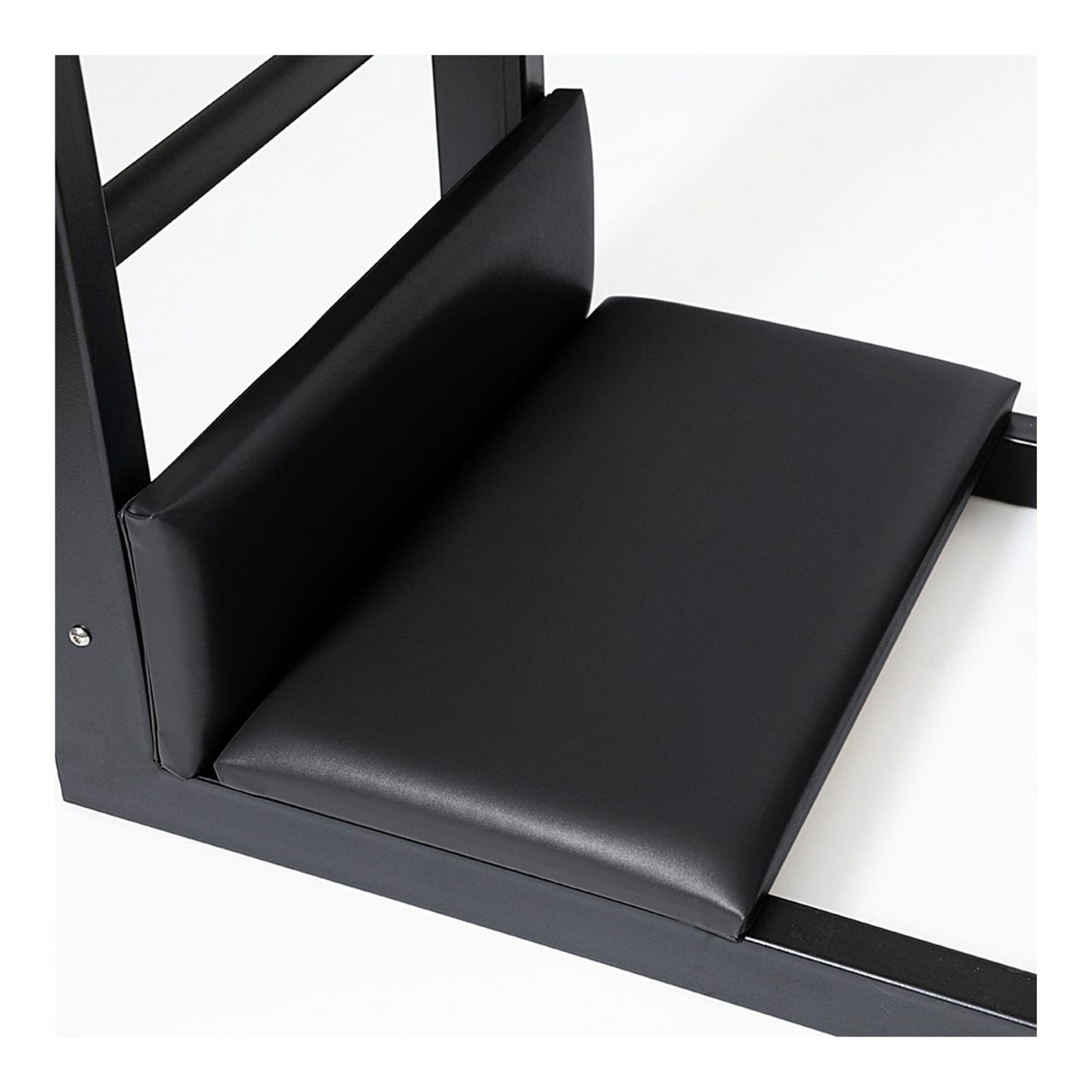 Elina Pilates Steel Ladder Barrel
